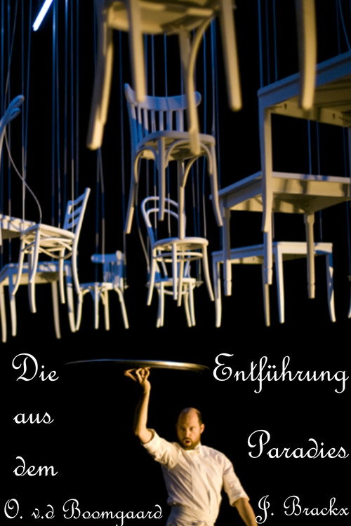 Movie poster for Die Entführung aus dem Paradies (2009)