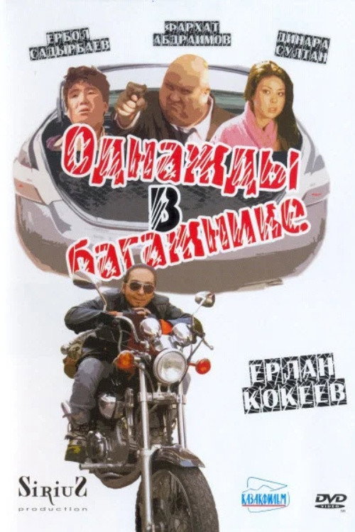 Movie poster for Once in the Trunk (2010)