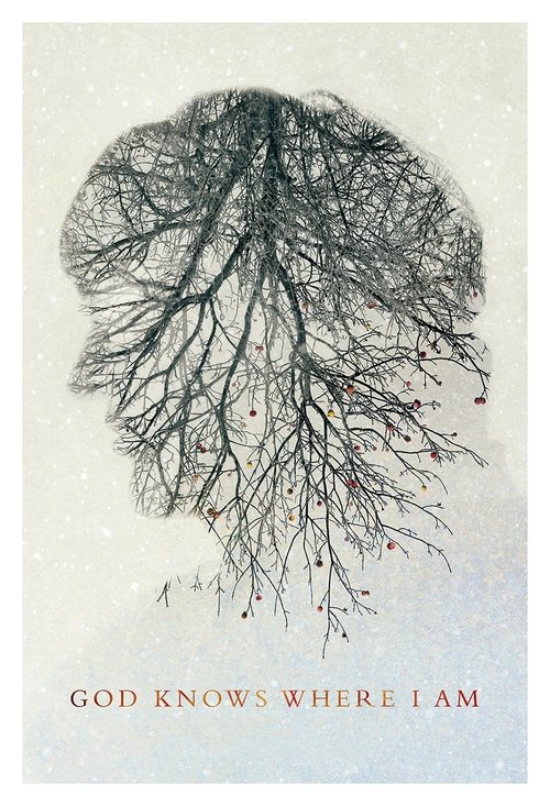 Movie poster for God Knows Where I Am (2016)
