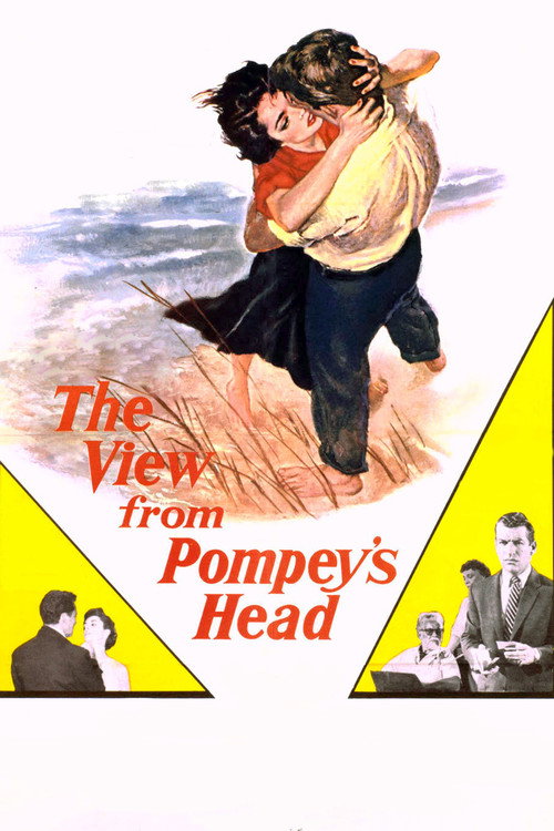 Movie poster for The View from Pompey's Head (1955)