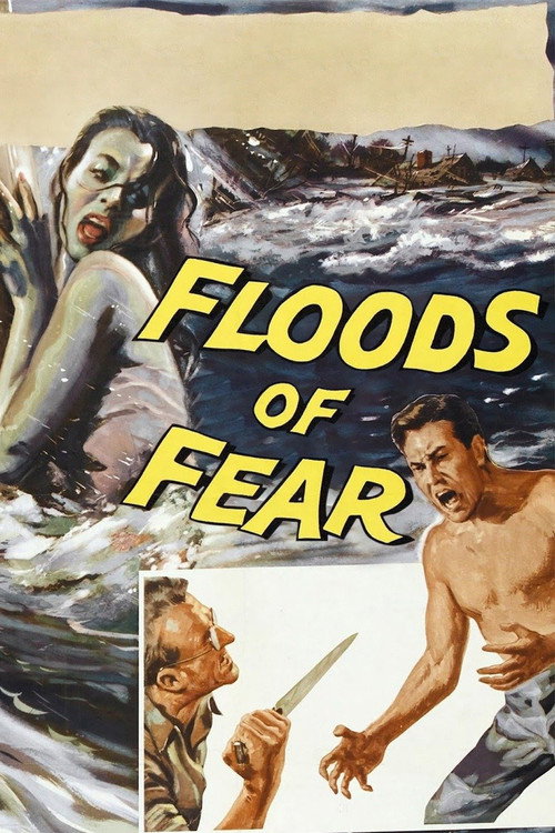 Movie poster for Floods of Fear (1958)