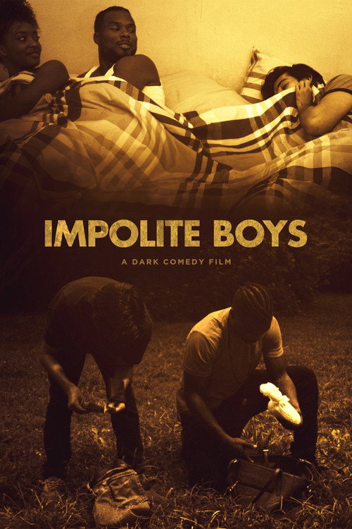 Movie poster for Impolite Boys (2021)