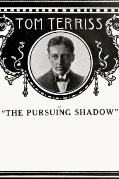Movie poster for The Pursuing Shadow (1915)