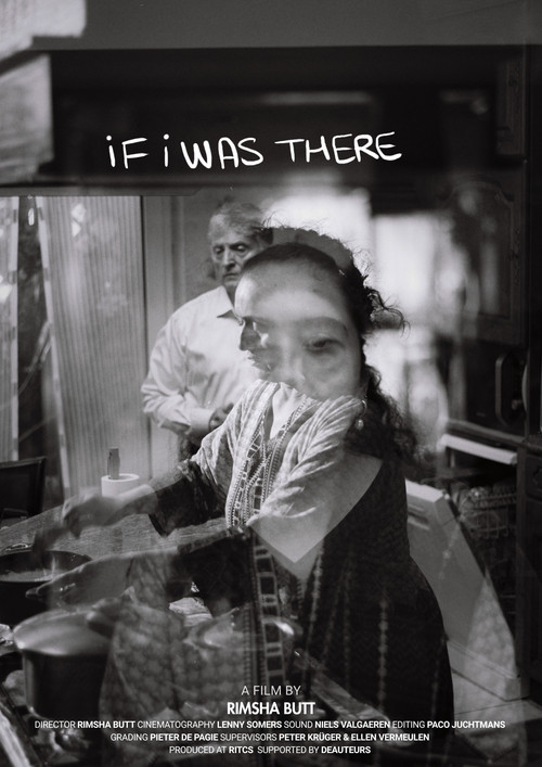 Movie poster for If I Was There