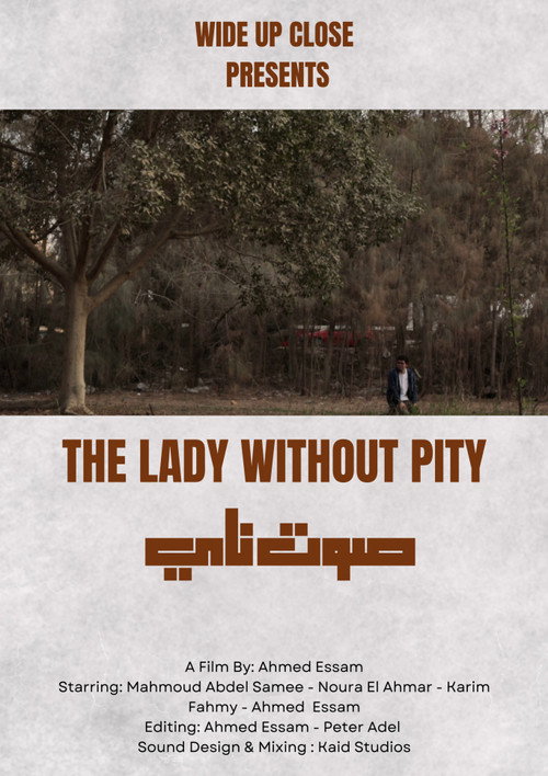 Movie poster for The Lady Without Pity (2025)