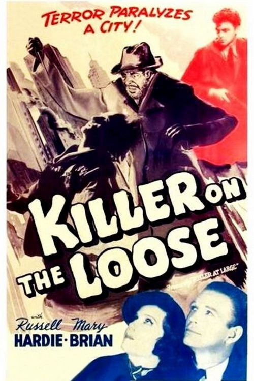 Movie poster for Killer at Large (1936)