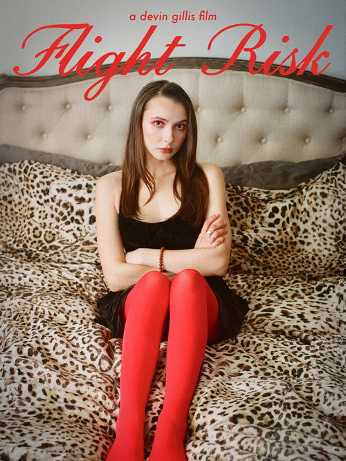 Movie poster for Flight Risk