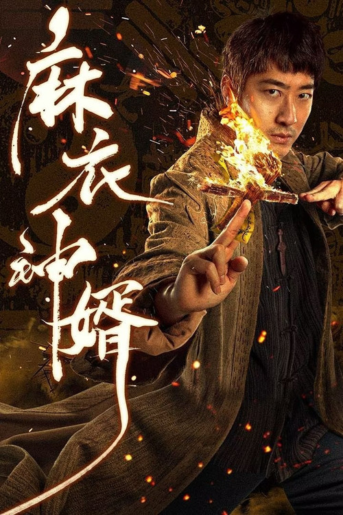 The Plain Clothes God Son-in-law poster