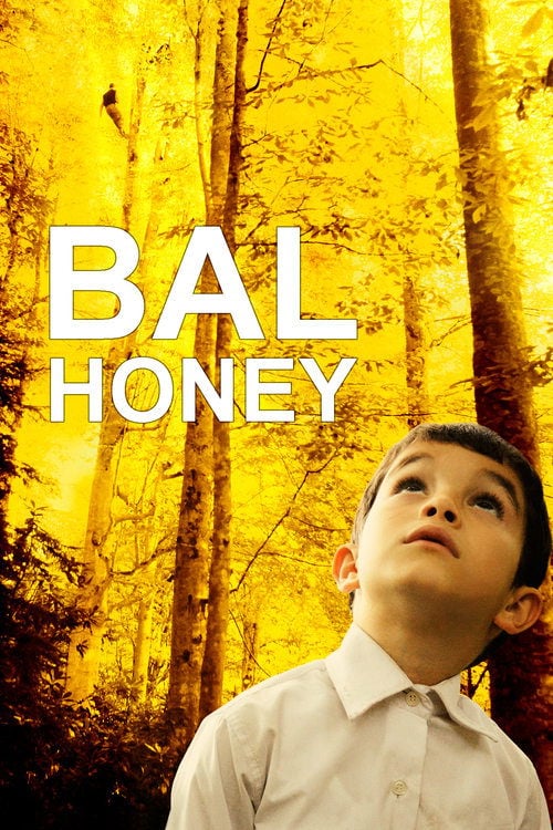 Movie poster for Honey (2010)
