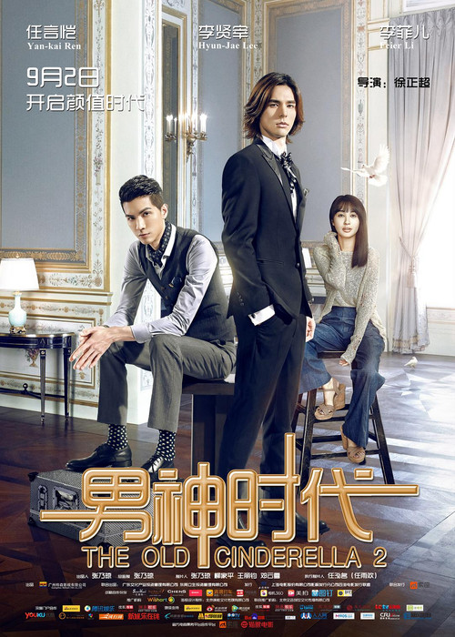 Movie poster for The Old Cinderella 2 (2015)