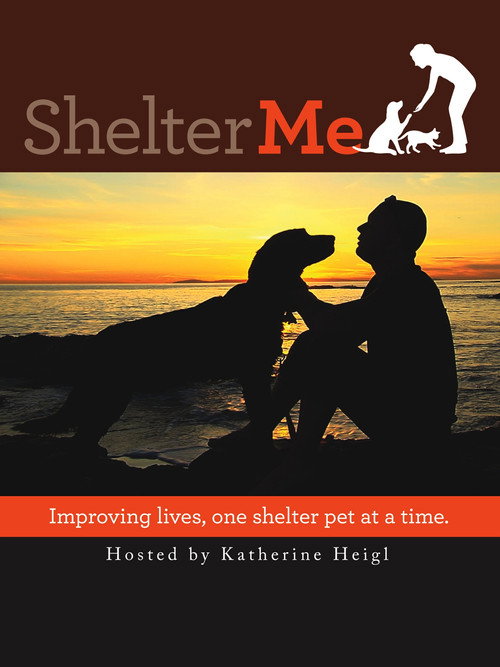 Movie poster for Shelter Me (2012)