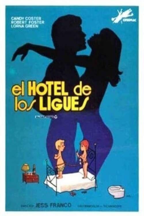 Movie poster for The Hotel of Love Affairs (1983)