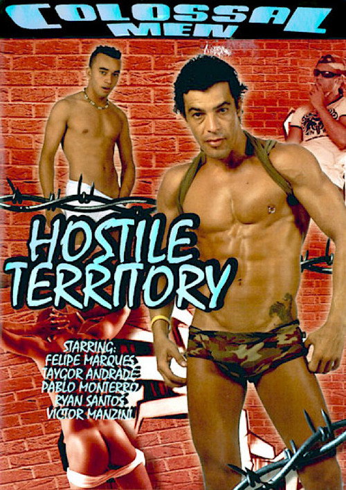 Movie poster for Hostile Territory (2006)