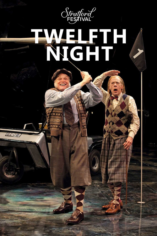 Movie poster for Twelfth Night (2012)