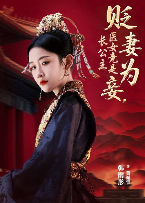 Series poster for 贬妻为妾,医女竟是长公主 (2025)