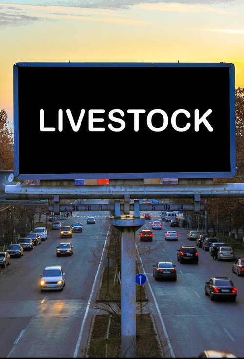 Movie poster for LIVESTOCK (2022)