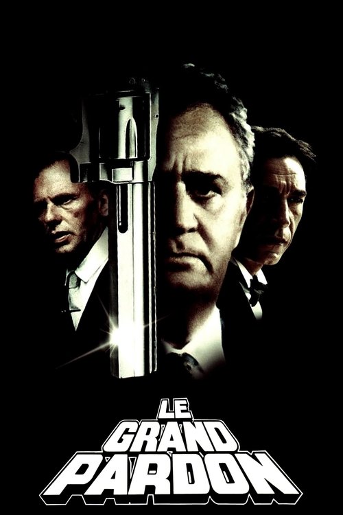 Movie poster for The Big Pardon (1982)