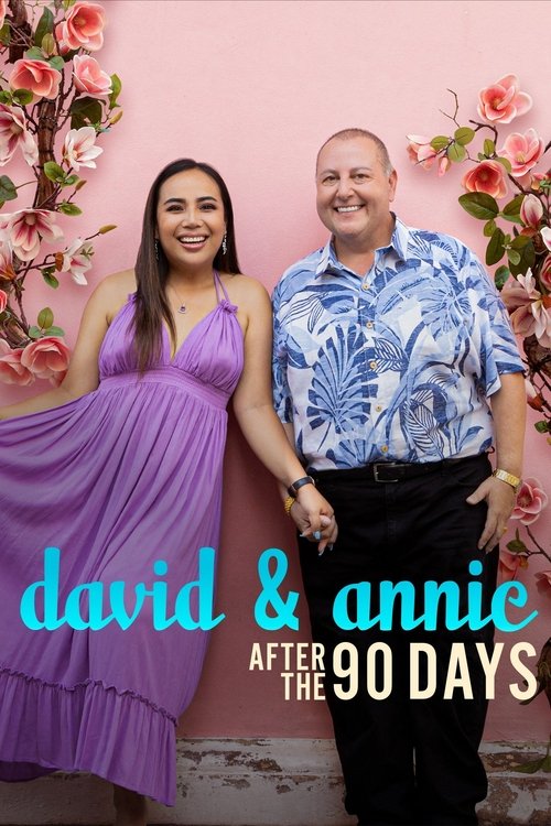 David & Annie: After the 90 Days poster