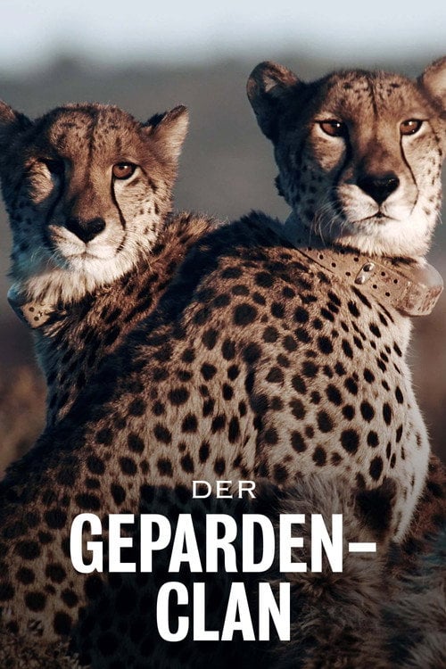 Series poster for Cheetahs United (2024)