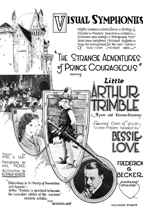 Movie poster for The Strange Adventures of Prince Courageous (1923)