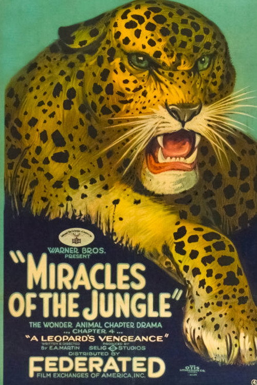Movie poster for Miracles of the Jungle (1921)