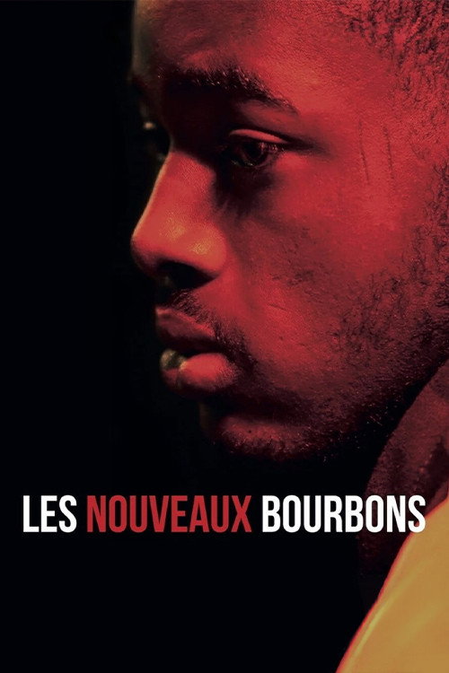 Movie poster for Les nouveaux Bourbons (2019)