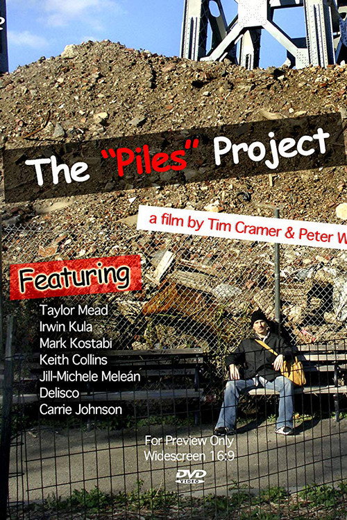Movie poster for The Piles Project (2008)