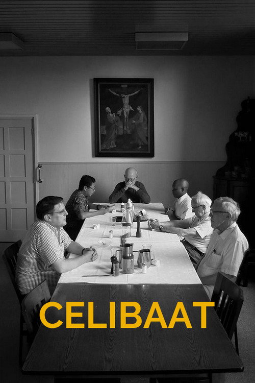 Movie poster for Celibaat (2019)