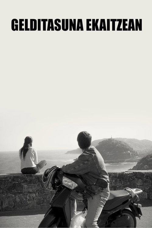 Stillness in the Storm poster