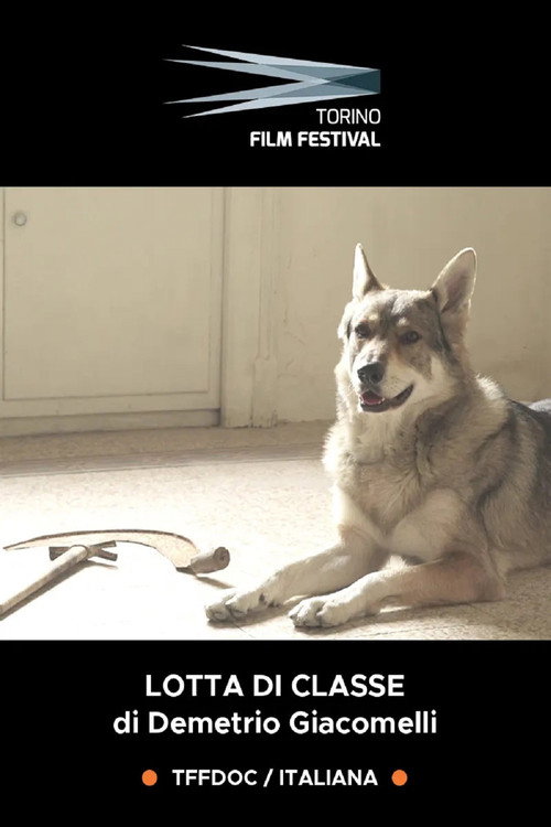 Movie poster for Lotta di Classe - Il cinema dei ragazzi di Emilio Sidoti (2021)