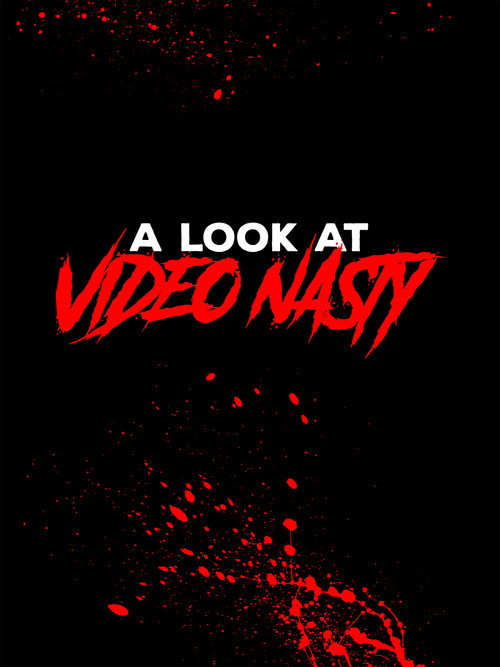Movie poster for A Look at Video Nasty (2024)
