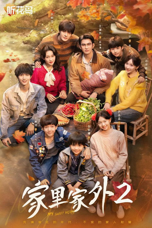 家里家外2 poster