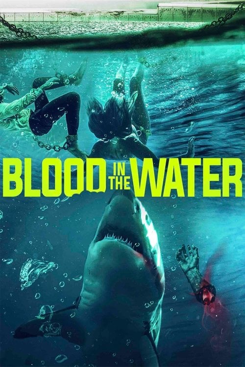 Movie poster for Blood in the Water (2022)