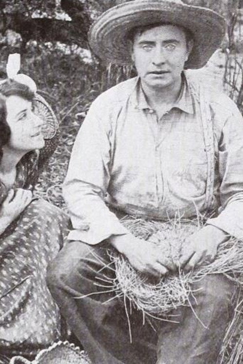 Movie poster for The Blind Basket Weaver (1913)