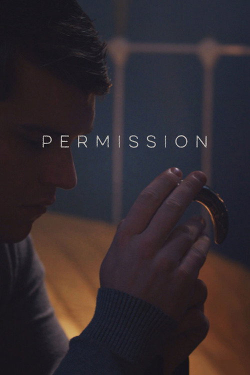 Movie poster for Permission (2019)