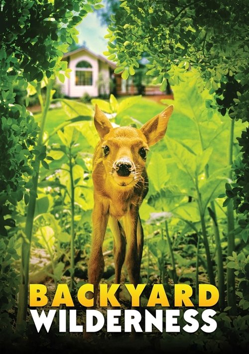 Movie poster for Backyard Wilderness (2018)