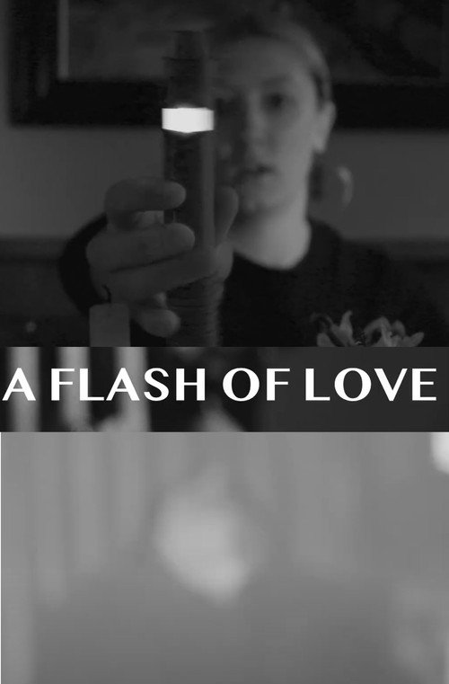 Movie poster for A Flash Of Love (2024)