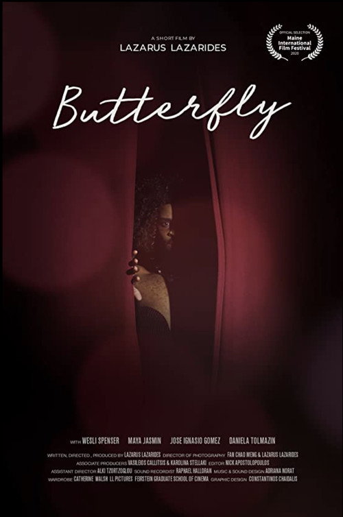 Movie poster for Butterfly (2020)