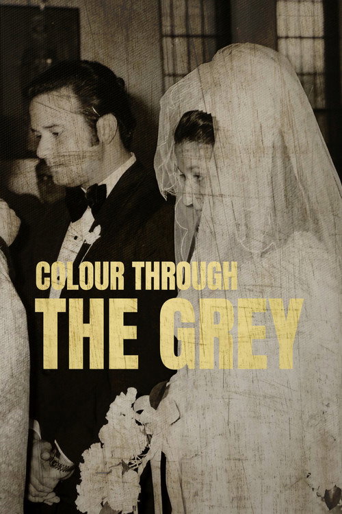 Movie poster for Colour Through the Grey (2025)