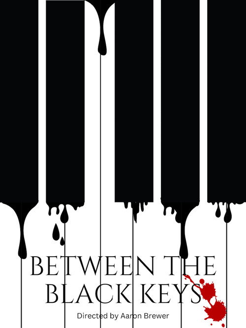 Movie poster for Between The Black Keys