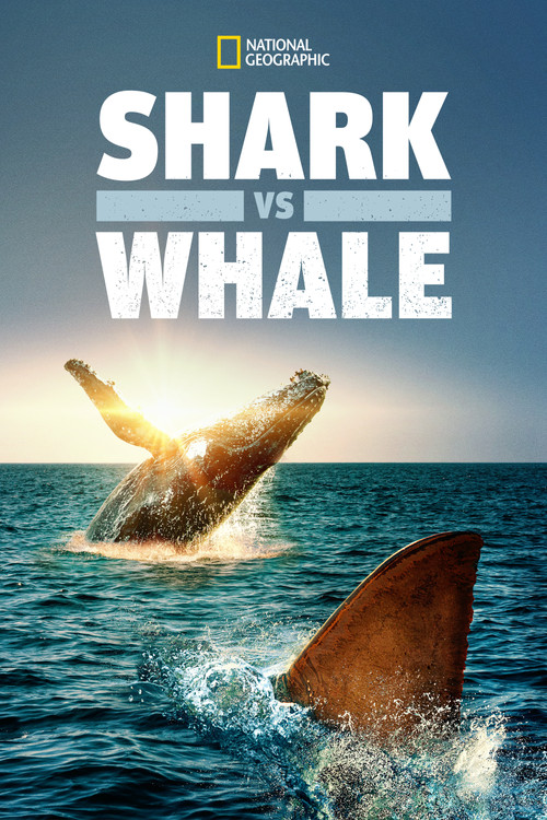 Movie poster for Shark Vs. Whale (2020)