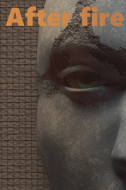Movie poster for After fire (2025)