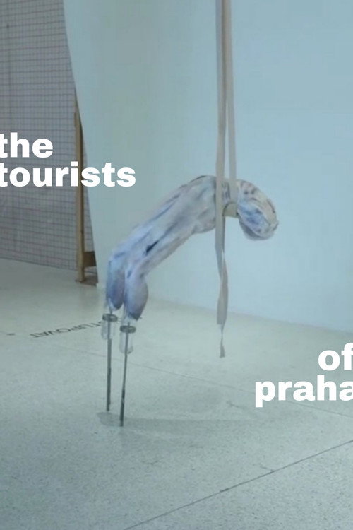 Movie poster for The Tourists of Praha (2022)