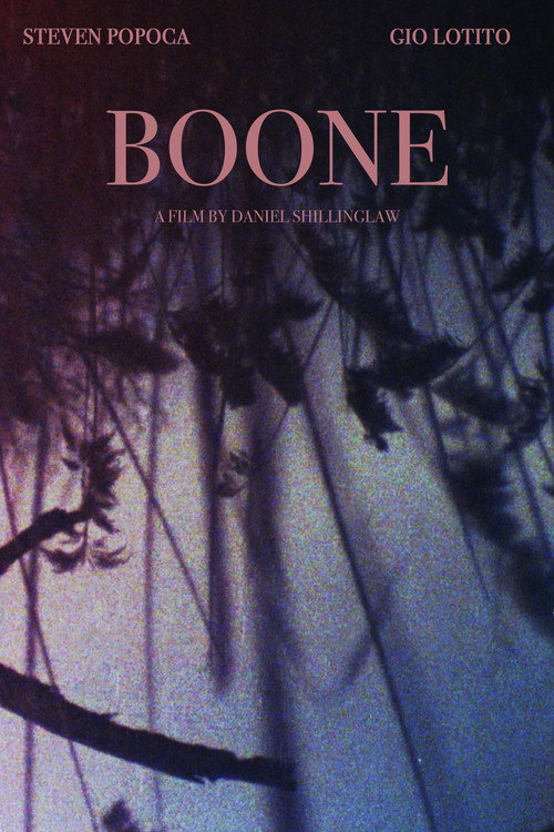 Movie poster for Boone (2023)