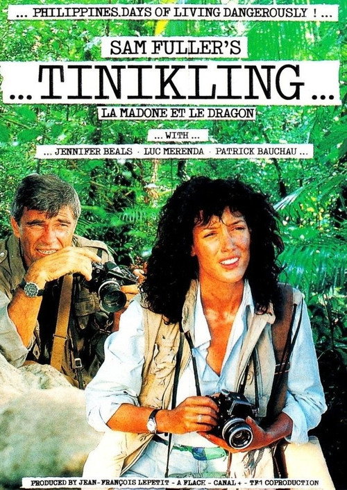Movie poster for The Madonna and the Dragon (1990)