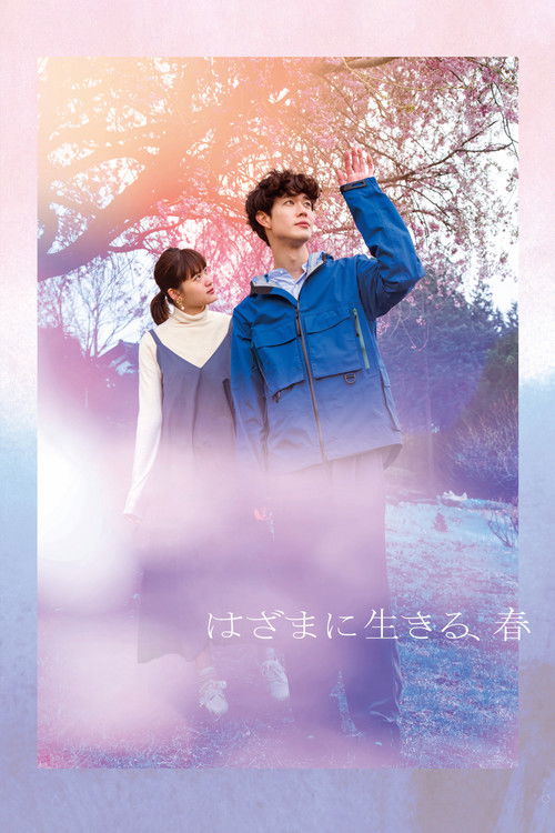 Spring in Between poster