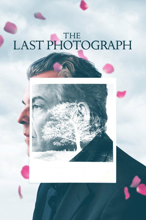 Movie poster for The Last Photograph (2017)