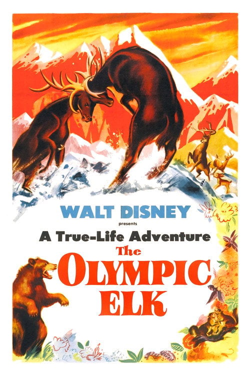 Movie poster for The Olympic Elk (1952)
