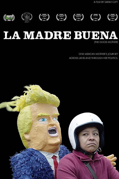 Movie poster for The Good Mother (2017)