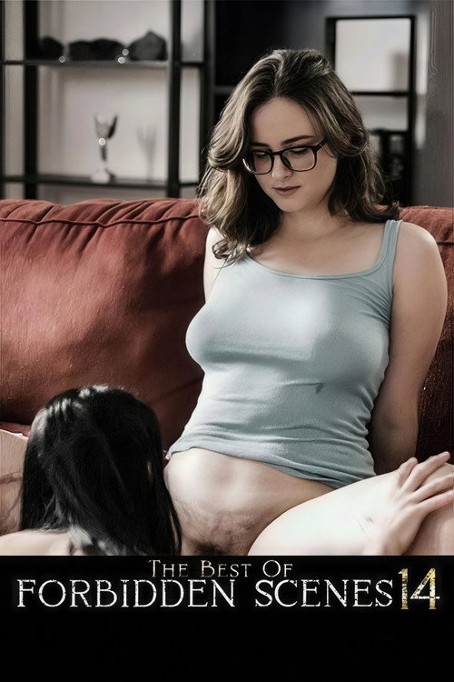 Movie poster for The Best of Forbidden Scenes 14 (2025)